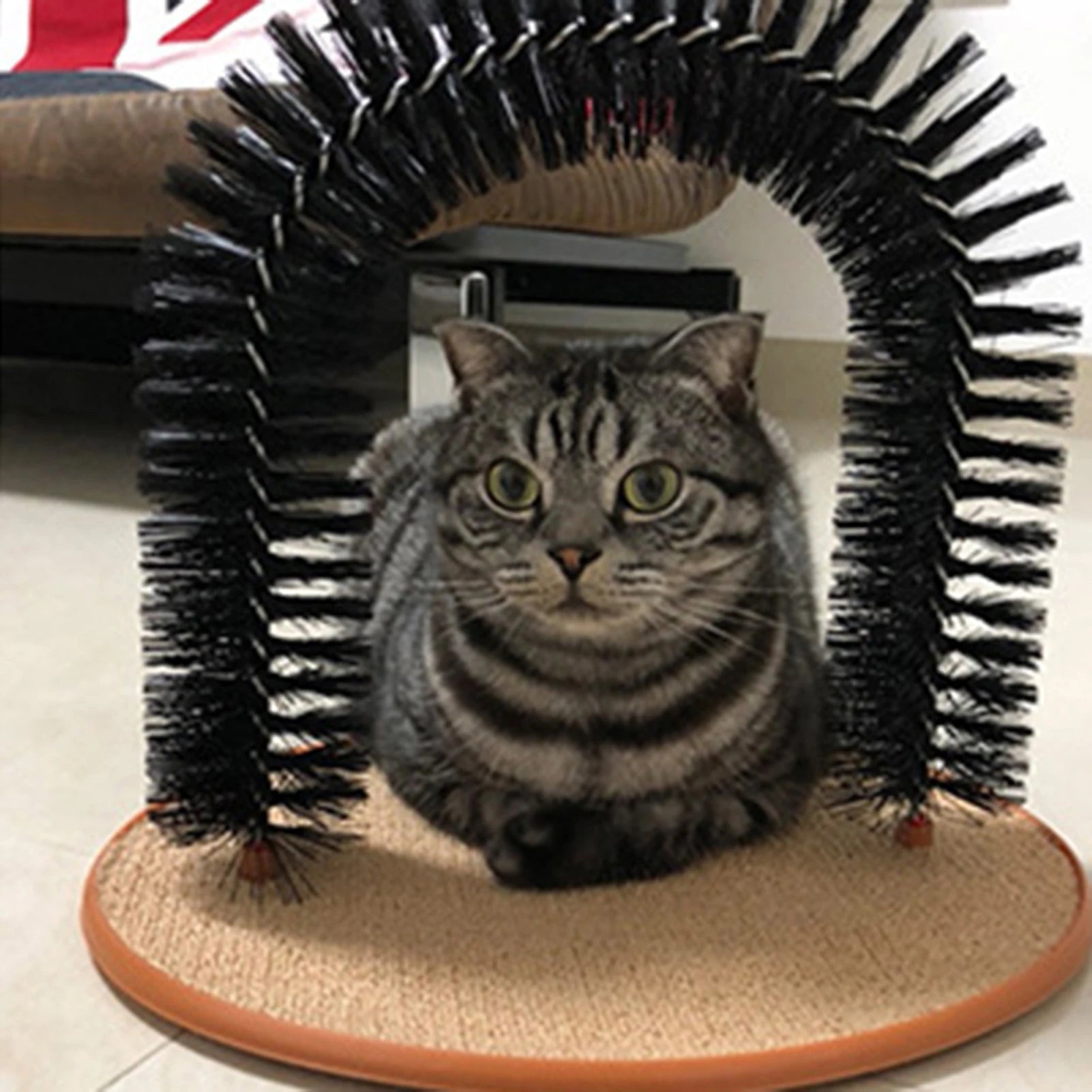 Cat Arch Scratcher Toy -