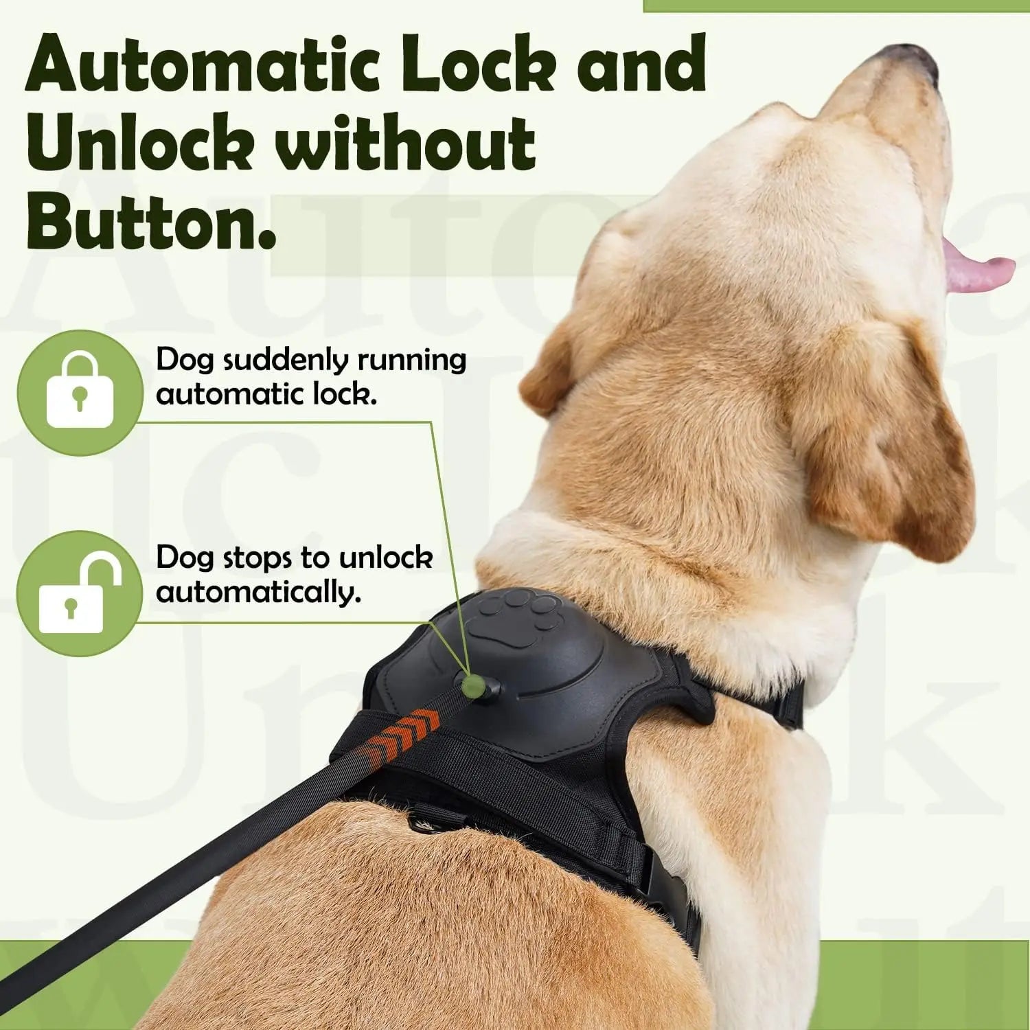 No Pull Dog Harness - gregorylogan