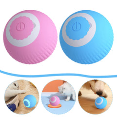 Electric Cat Ball Toy - gregorylogan