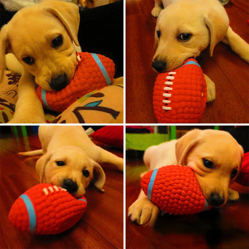 Squeaky Dog Rugby Ball Toy - gregorylogan