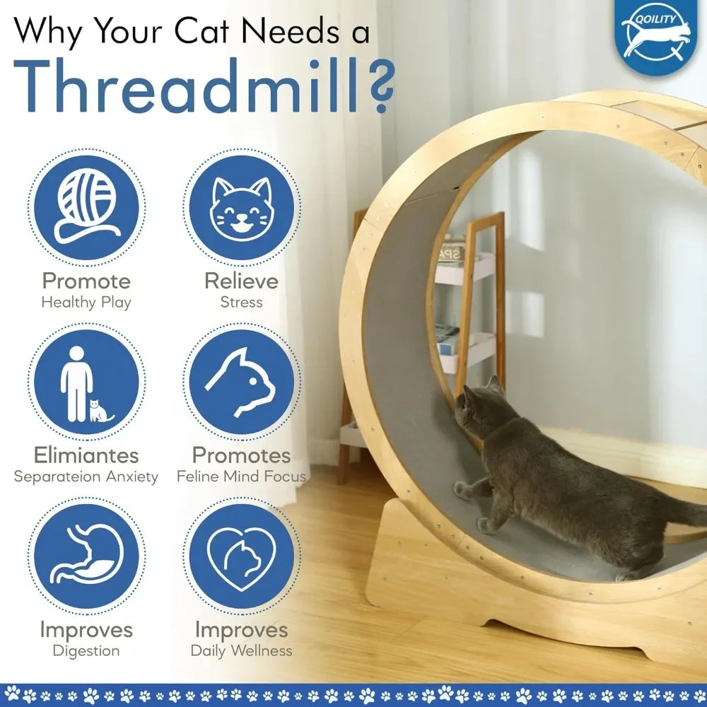 Wooden Cat Exercise Wheel - gregorylogan