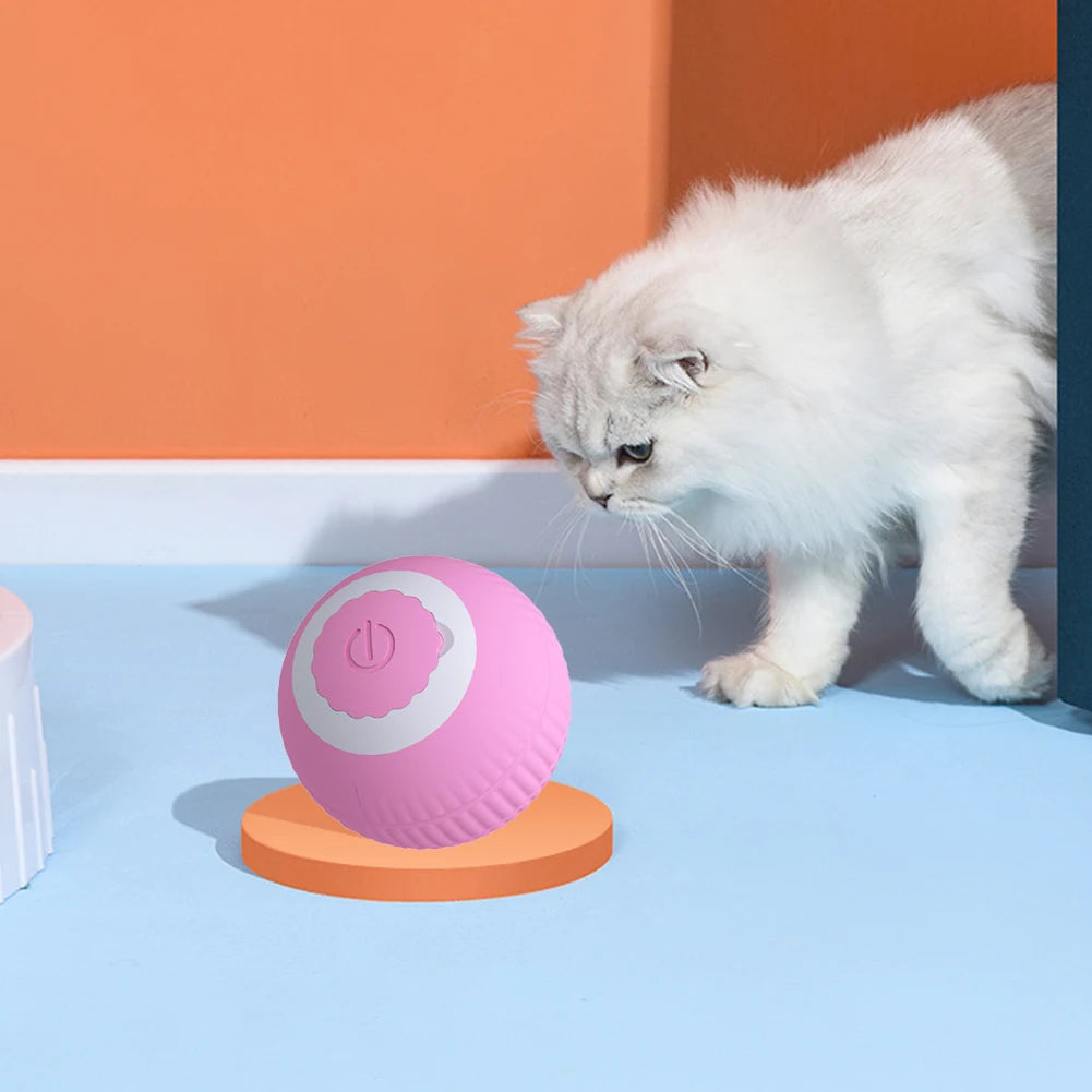 Electric Cat Ball Toy - gregorylogan