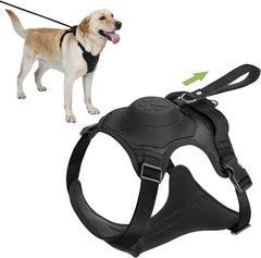 No Pull Dog Harness - gregorylogan