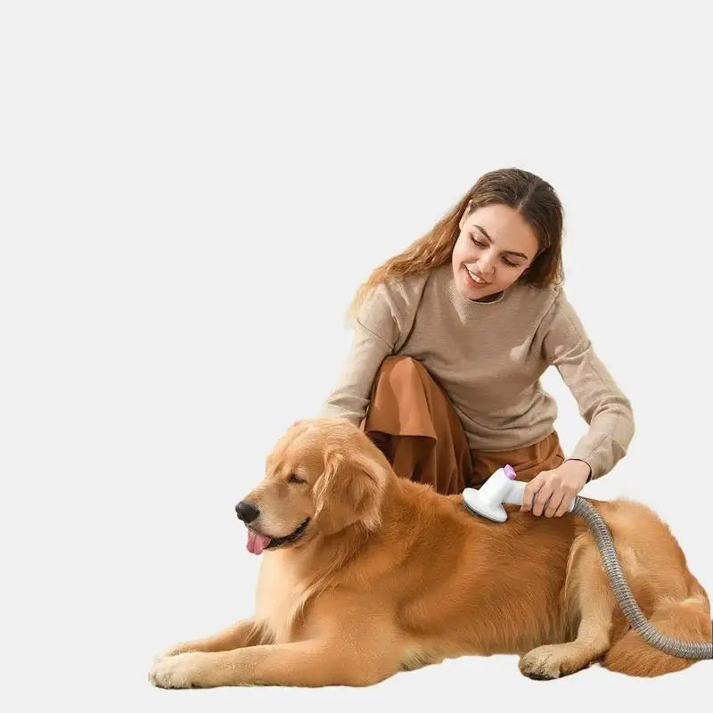 Dog Hair Vacuum Groomer - gregorylogan