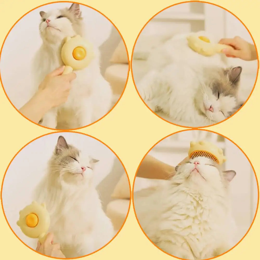 Pet Hair Removal Brush - gregorylogan