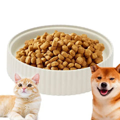 Dog Slow Feeder Bowl - gregorylogan